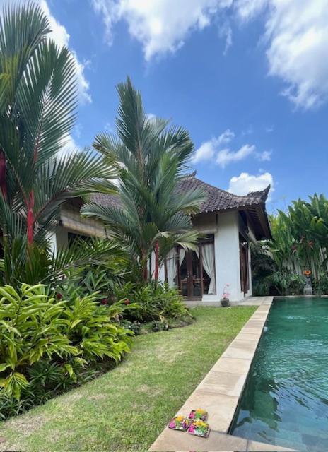 Villa Exotica 우붓 외부 사진
